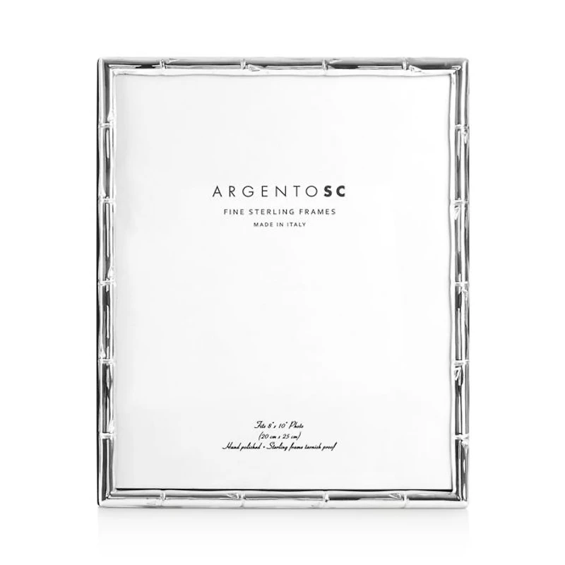 Bamboo Sterling Silver Frame