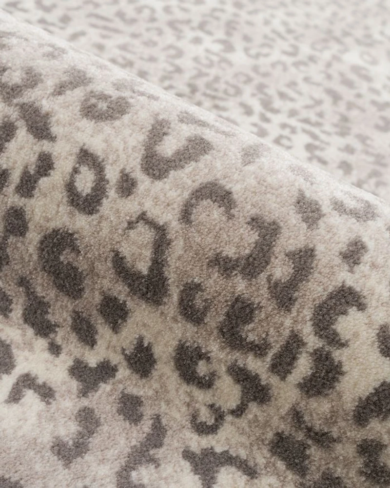 Essentials Kalahari Area Rug, 5'3" x 7'10"
