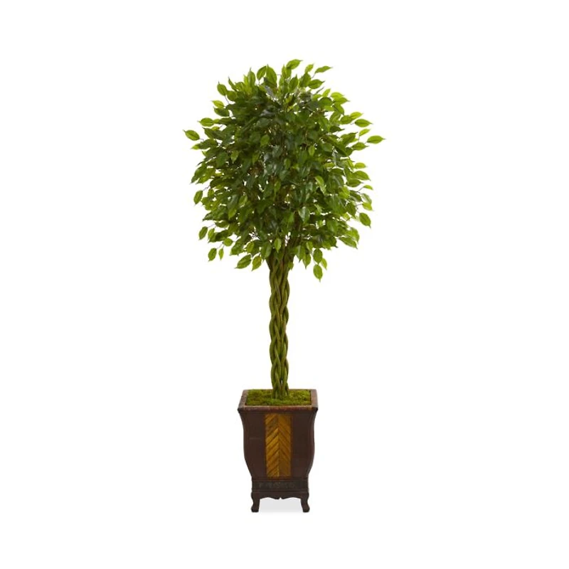 Artificial Braided Ficus Tree