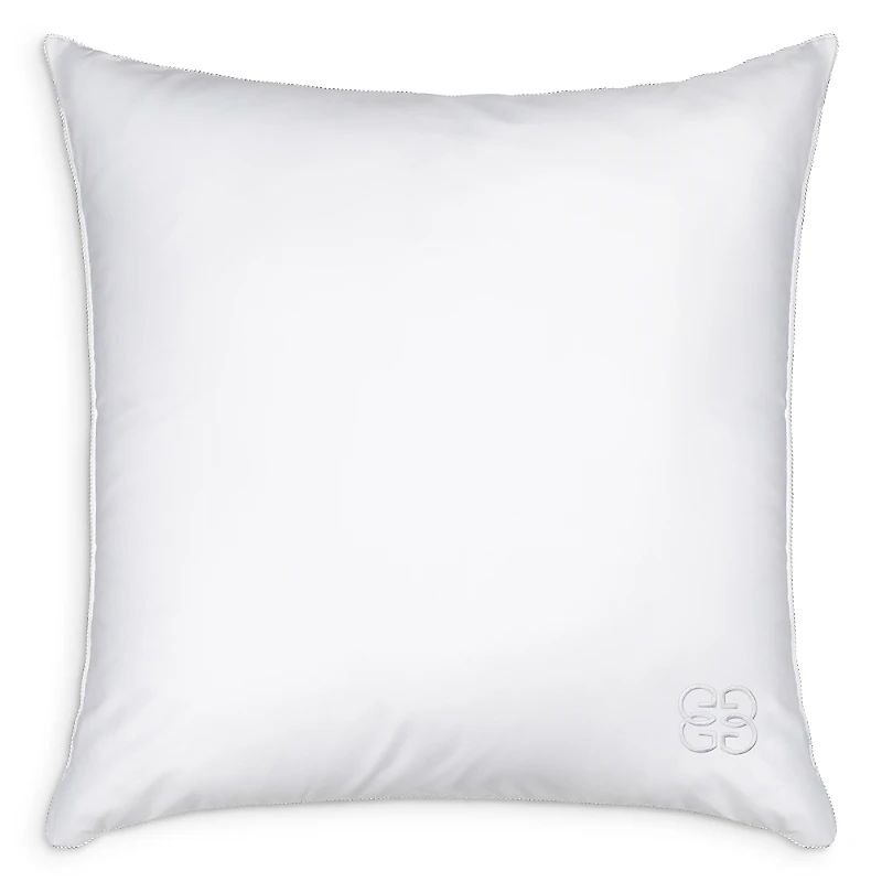 Gingerlily 50/50 Silk Blend Euro Pillow, 26 x 26