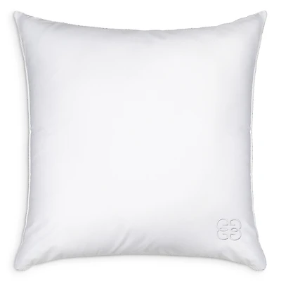 Gingerlily 50/50 Silk Blend Euro Pillow, 26 x 26
