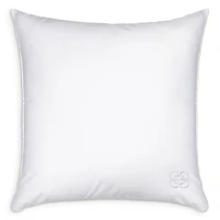 Gingerlily 50/50 Silk Blend Euro Pillow, 26 x 26