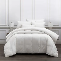 My Luxe Plus Down Comforters - Exclusive