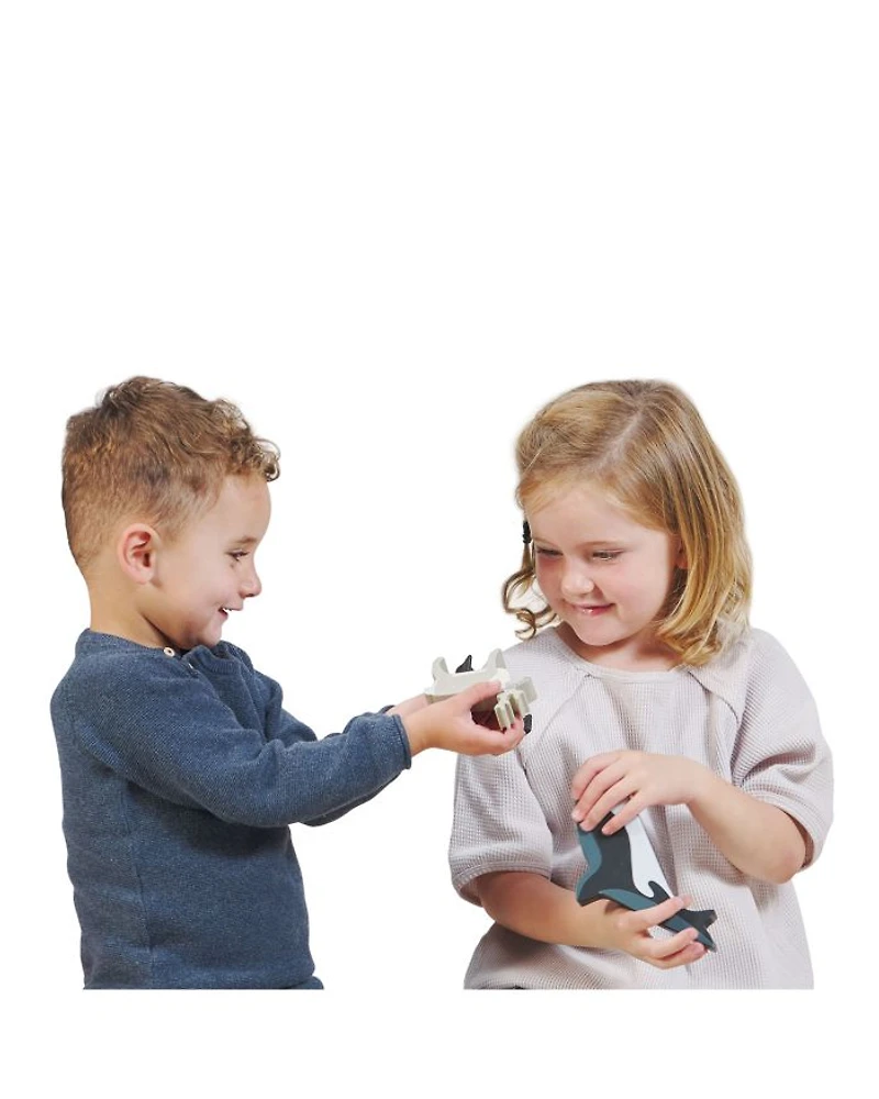 Polar Animals - Ages 3+