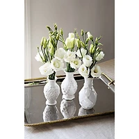 Jardins Du Monde Whitewash Mini Vases, Set of 3