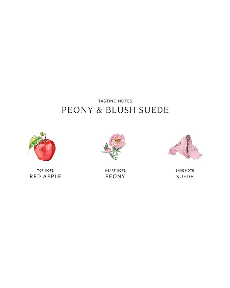 Peony & Blush Suede Body & Hand Lotion 8.5 oz.
