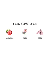 Peony & Blush Suede Body & Hand Lotion 8.5 oz.