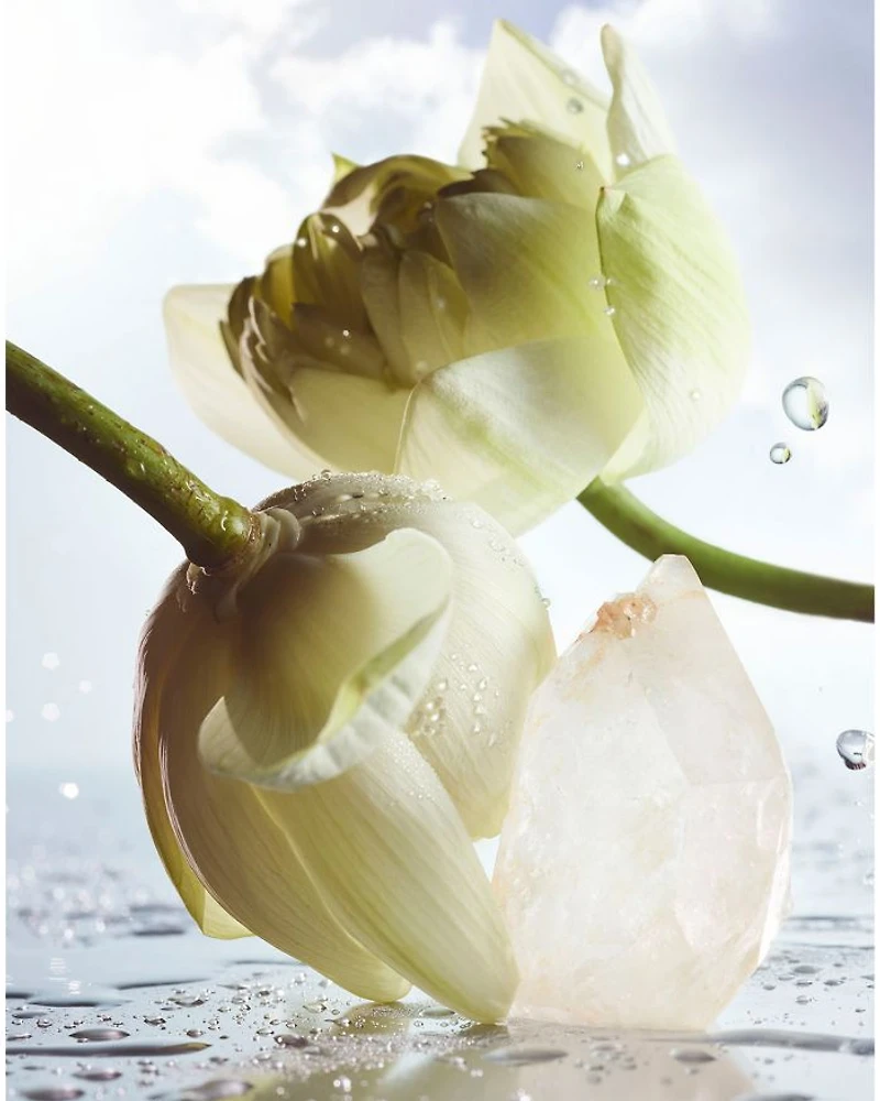 Man Rain Essence Eau de Parfum 3.4 oz.
