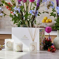 Wildflowers Superbloom Gift Set