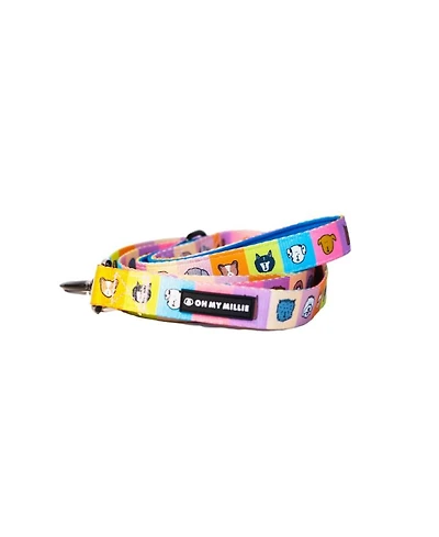 Happy Walking Dog Leash