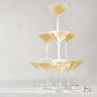 Elegance Champagne Belle Coupe Glass, Pair