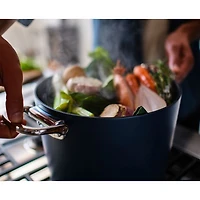 Space 8.5 Quart Stockpot and Lid