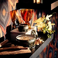 Japonica Baltic Amber Candle Collection