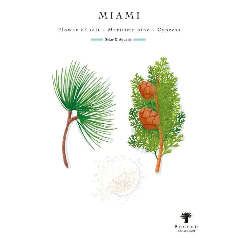 My First Baobab Candle & Diffuser Gift Box – Miami
