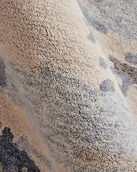 Everley EVE8647F Area Rug, 2' x 3'