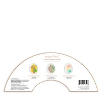 Rainbow 3 Piece Bento Box®
