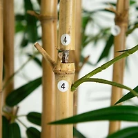 9' Artificial Bamboo Tree with Real Bamboo Trunks