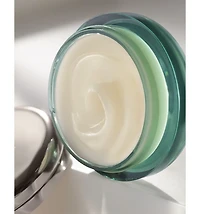 The Lip Balm 0.3 oz.