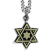 Large Alloy Star of David in Silver Frame Pendant Necklace, 24"