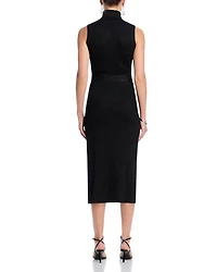 Zoelle Ribbed Turtleneck Dress