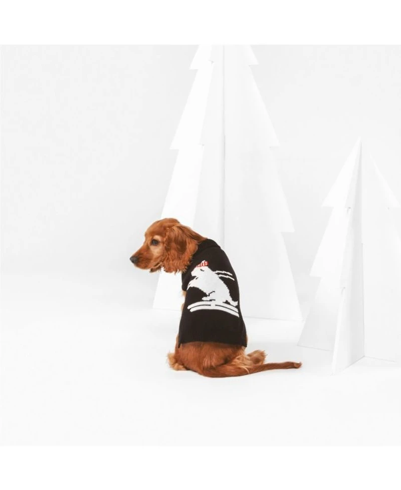 Skiing Dog Pet Sweater