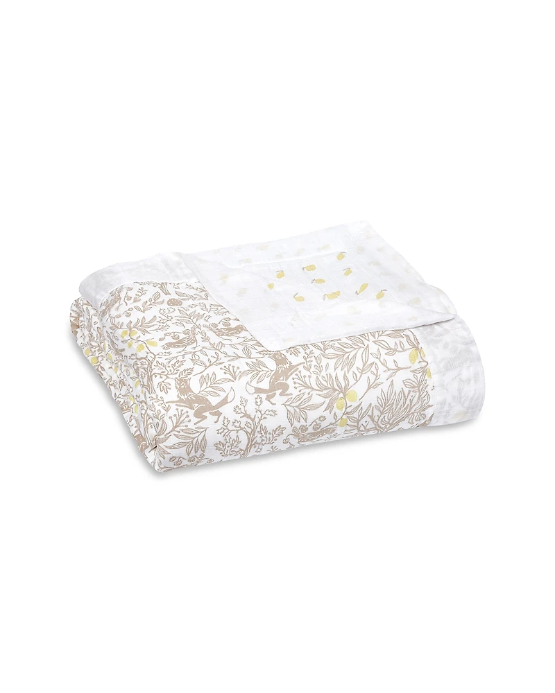 Aden and Anais Silky Soft Over