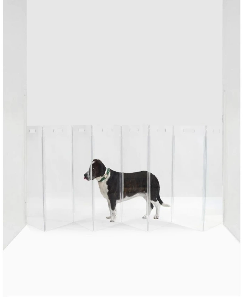 Clear Freestanding Pet Gate Zig Zag