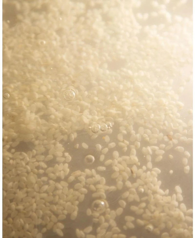 Rice Probiotics Gentle Micellar Cleansing Milk
