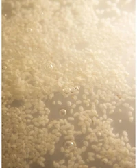 Rice Probiotics Gentle Micellar Cleansing Milk