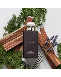 Woody Cologne Intense Trio ($84 value)
