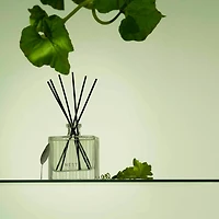 Cucumber & White Sage Reed Diffuser