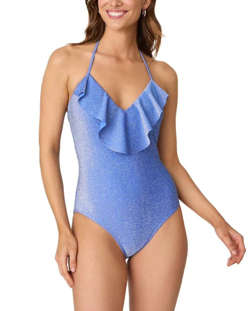 Shimmer One Piece Swimsuit