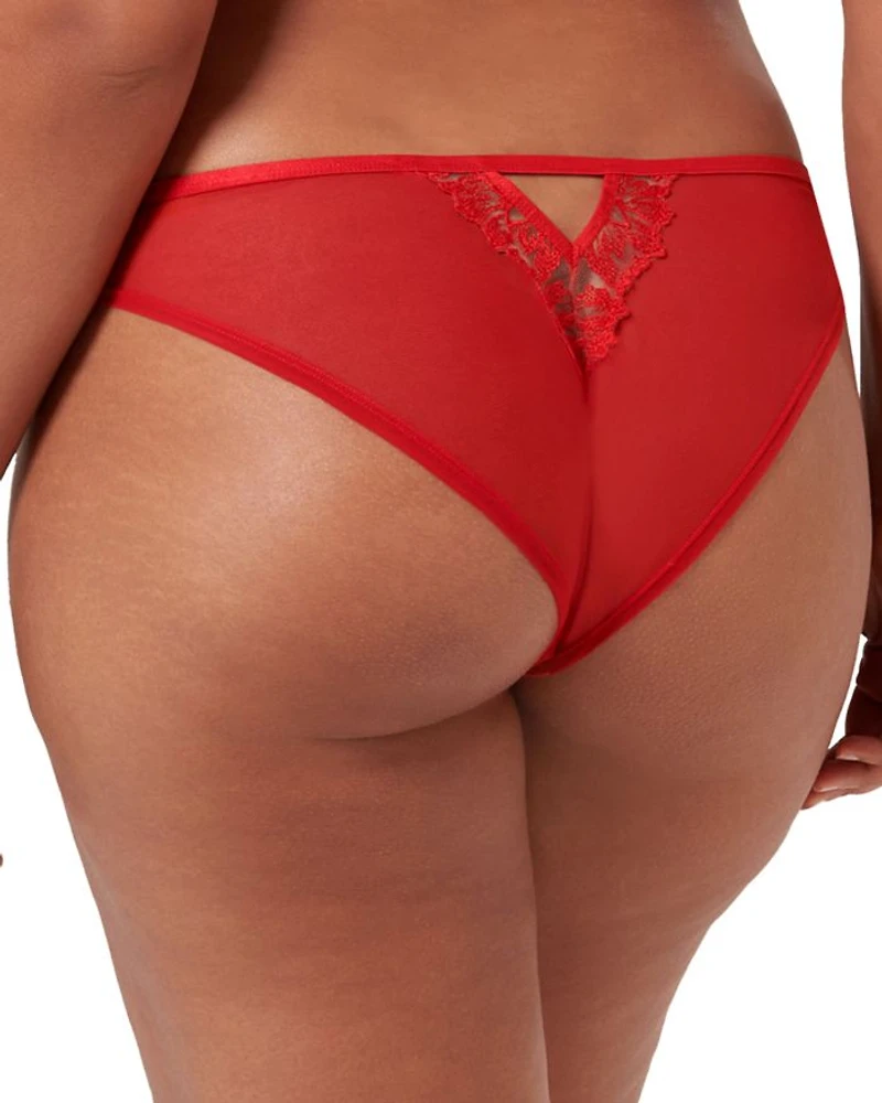 Samara Briefs