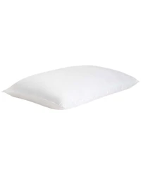 Cozy Earth Silk Pillow, Standard