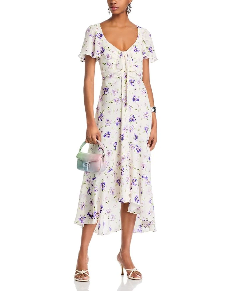 Tossed Poppies Isha Dress