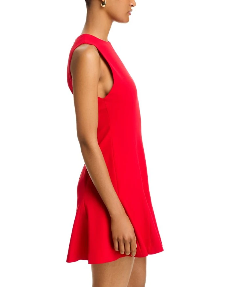 Isa Sleeveless Seamed Flare Mini Dress