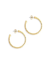 Farrier Medium Hoop Earrings