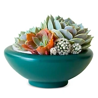 Jungle Club Birdie Bowl