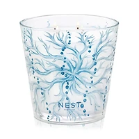 Ocean Mist & Sea Salt Collection