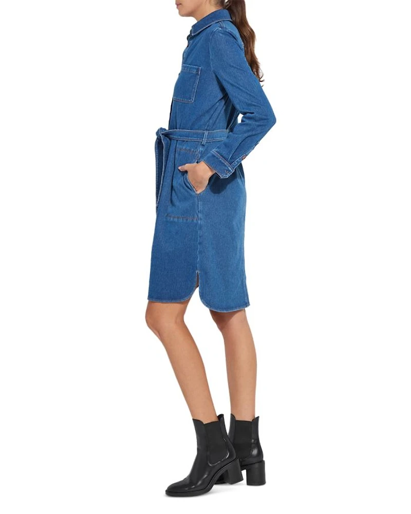 Denim Schiffer Dress
