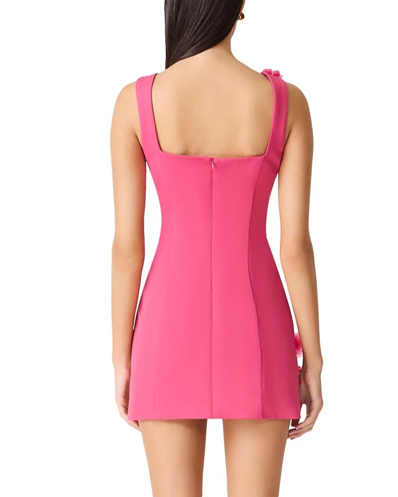 Trompe Mini Dress