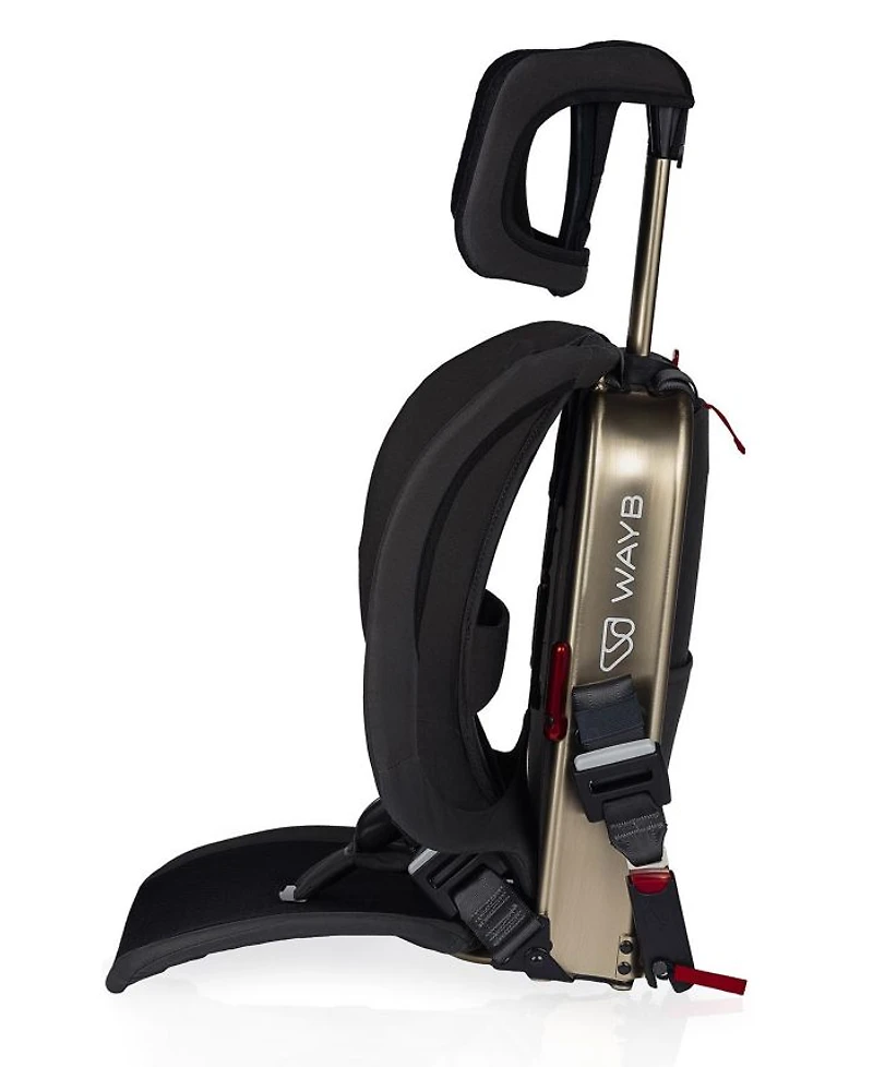 Unisex Pico Portable Car Seat