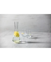 Pure Wine Decanter