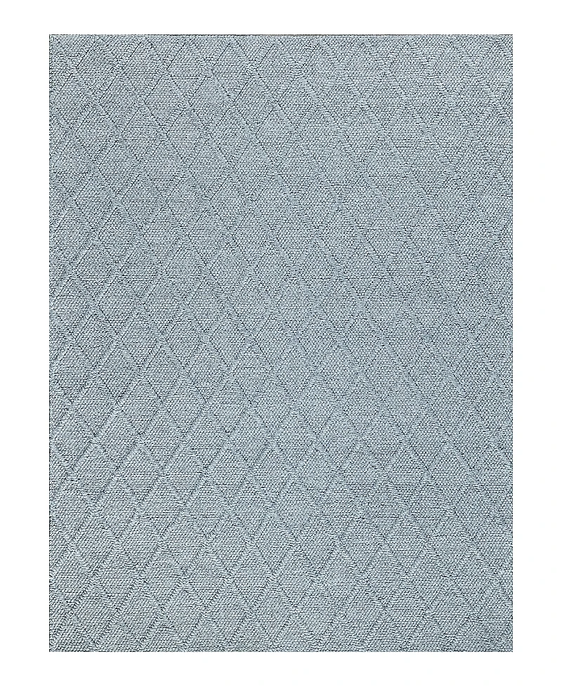 Exquisite Rugs Brentwood 4748 Area Rug 2'X3'