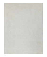 Exquisite Rugs Brunello Modern 6735 Area Rug 2'X3'