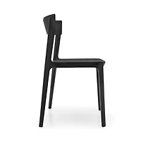 Skin Side Chair