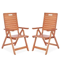 Safavieh Rence Outdoor Folding Chair, Set of 2