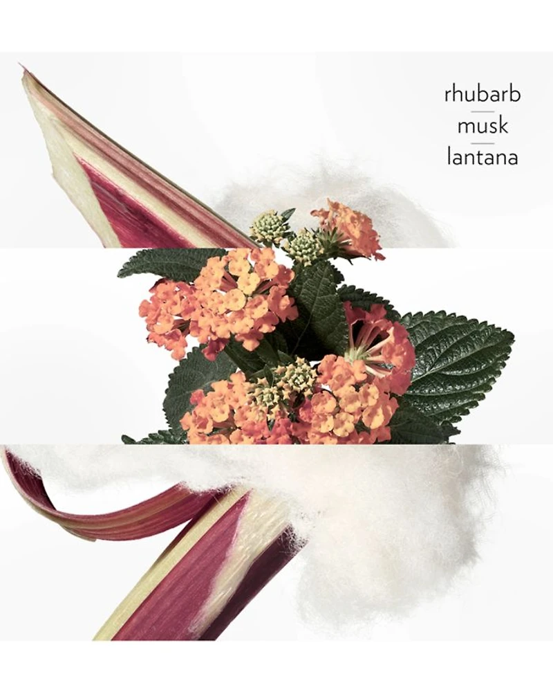 Eau de rhubarbe écarlate Cologne