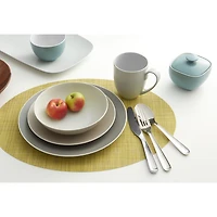 Pop 4-Piece Plate Setting
