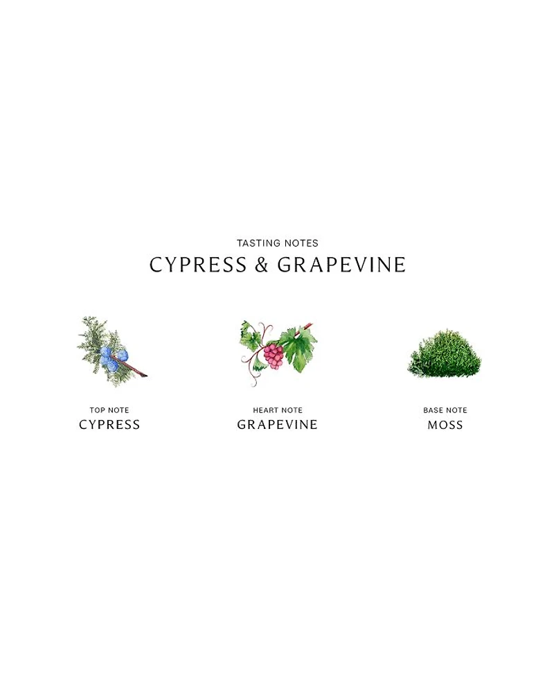 Cypress & Grapevine Body & Hand Wash 8.5 oz.
